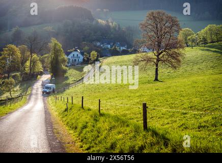 Ländliche Landschaft im deutschen sauerland mit Bäumen und Hügeln Stockfoto