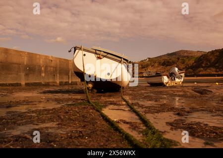 Fischerboote liegen bei Ebbe in Nefyn Port, Gwynedd, Nordwales. Aufgenommen in der Abendsonne. Stockfoto