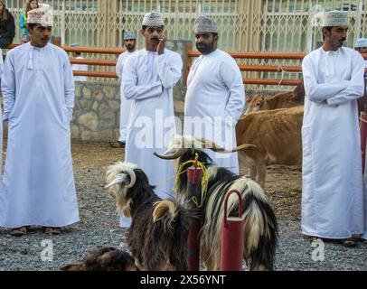 Szenen vom Nizwa Ziegenmarkt, Nizwa, Oman Stockfoto