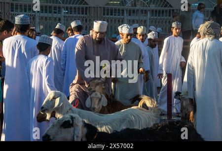 Szenen vom Nizwa Ziegenmarkt, Nizwa, Oman Stockfoto