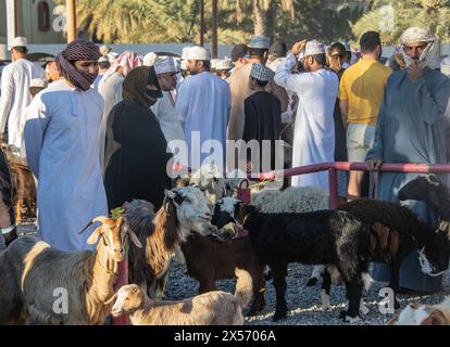 Szenen vom Nizwa Ziegenmarkt, Nizwa, Oman Stockfoto