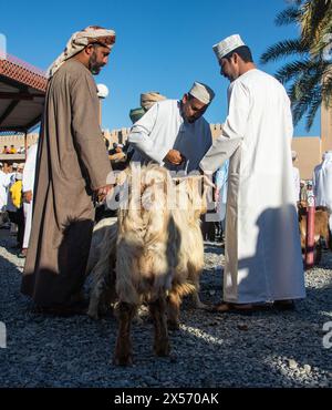 Szenen vom Nizwa Ziegenmarkt, Nizwa, Oman Stockfoto