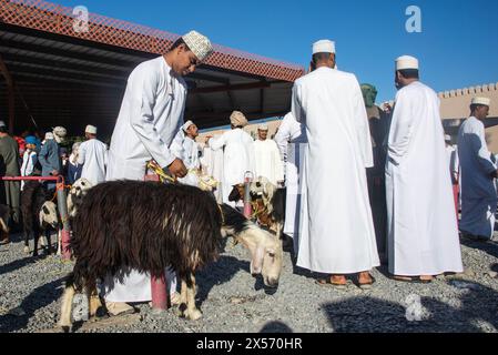 Szenen vom Nizwa Ziegenmarkt, Nizwa, Oman Stockfoto