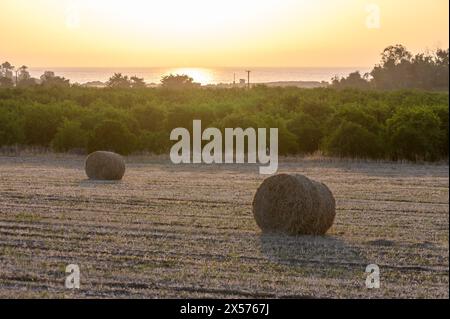 Strohballen auf Ackerland mit blaubewölktem Himmel 1 Stockfoto