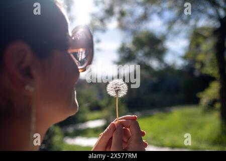 Detail einer Frau im Profil, die einen wilden Löwenzahn im Hintergrund auf einem sonnigen Hintergrund mitten auf einem Frühlingsfeld bläst Stockfoto