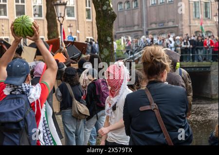 Amsterdam, Niederlande, 07. Mai 2024, propalästinensische Demonstration auf einem Campus der Universität Amsterdam im Stadtzentrum, George Pachantouris/ Alamy Live News Stockfoto