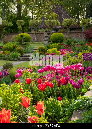 Chenies Manor Sunken Garden at Tulip Time. Stockfoto