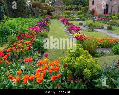 Chenies Manor Sunken Garden mit bunten Tulpen in voller Blüte. Orange, rosa, lila Blüten in der späten Nachmittagssonne. Stockfoto