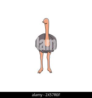 Einzelne durchgehende Linienzeichnung eines großen Straußes zur Identifikation des Logos. Langhals-Vogelmaskottchen-Konzept für die Ikone des Nationalzoo. Moderne einzeilige grafische Zeichnung Stock Vektor