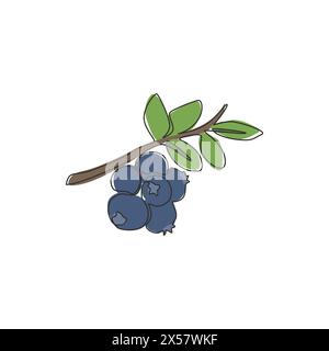 Eine durchgehende Linienzeichnung von ganzen gesunden Bio-Heidelbeeren für Obstgarten-Logo-Identität. Frisches Blaubeerfrucht-Konzept für Obstgarten-Ikone. M Stock Vektor