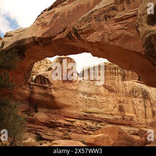 Hickman Natural Bridge im Capitol Reef National Park, Utah Stockfoto