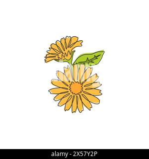 Eine einzeilige Zeichnung mit frischem Ringelblumenblumen für Posterkunst an der Wand. Bedruckbares dekoratives Ringelblumenkonzept für Park-Ikone. Modern c Stock Vektor