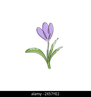 Eine einzeilige Zeichnung mit frischem Croci für den Garten. Bedruckbare dekorative Krokusblume für Poster mit Wandbedruckung. Trendig Stock Vektor