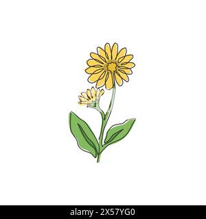 Eine durchgehende Linienzeichnung mit frischer Ringelblume für Poster mit Wohnkultur. Bedruckbares Deko-Ringelblumenkonzept. Moderne Einzel Stock Vektor