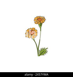Einzelne durchgehende Linienzeichnung von Beauty Fresh tagetes erecta für Posterdruck für Wohnkultur-Wandbilder. Dekorative Ringelblume für Blumenkartenrahmen. Stock Vektor