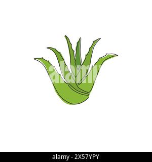 Eine einzige Zeilenzeichnung mit gesunder grüner Aloe Vera für die Logo-Identität des Bauernhofs. Frisches tropisches Sukkulenten-Pflanzenkonzept für landwirtschaftliche Ikonen. Moder Stock Vektor