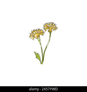 Eine durchgehende Linienzeichnung Beauty Fresh tagetes erecta für Wanddekor Wohnkunst Poster. Dekoratives Ringelblumenkonzept für Einladungskarte. Stock Vektor