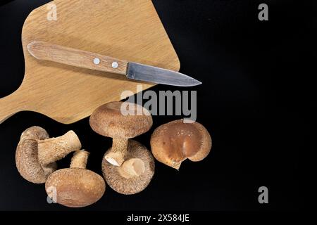 Frische Shiitake-Pilze und hölzernes Schneidebrett mit Messer darauf auf schwarzem Hintergrund Stockfoto