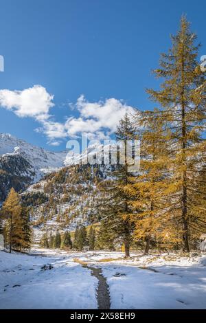 Geographie / Reise, Österreich, Tirol, Innervillgraten, ADDITIONAL-RIGHTS-CLEARANCE-INFO-NOT-AVAILABLE Stockfoto