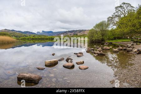 Felsen am Ufer des Elterwater Lake im Herzen des Lake District. Stockfoto