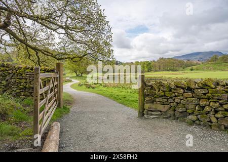 Ein Pfad führt durch ein Tor und schlängelt sich um einen Hügel auf dem Elterwater and Skelwith Bridge Walk im Herzen des Lake District. Stockfoto