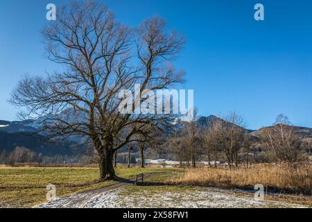 Geografie / Reisen, Deutschland, Bayern, Schlehdorf, ADDITIONAL-RIGHTS-CLEARANCE-INFO-NOT-AVAILABLE Stockfoto