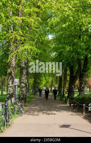 Menschen gehen auf einem baumgesäumten Weg in einem Christusstein, einem Park mit üppigem Grün und Fahrrädern an der Seite. Cambridge, England, Großbritannien Stockfoto