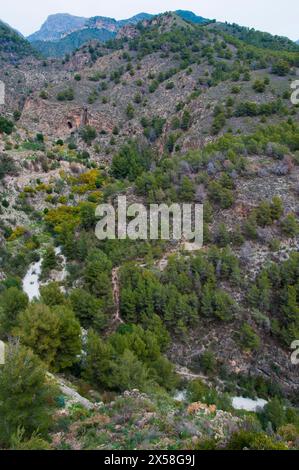 Schlucht Rio Higueron unterhalb des „Weißen Dorfes“ von Frigiliana, Andalusien, Spanien. Stockfoto