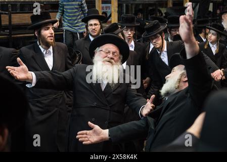 Ältere, bärtige Chareidi-orthodoxe jüdische Männer tanzen und singen während einer traditionellen lag B'Omer-Feier in Jerusalem, Israel. Stockfoto