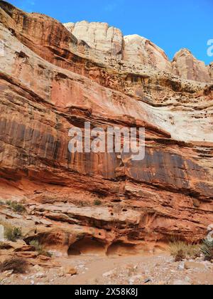 Wandern Sie an einem sonnigen Tag in der Grand Wash im Capitol Reef National Perk in Utah entlang erdoerter roter Felsformationen Stockfoto