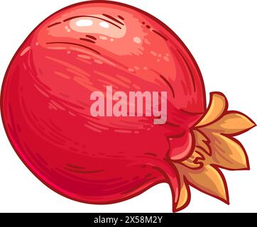 Granatapfelfrucht Farbige Detaillierte Illustration Stock Vektor