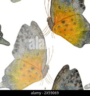 Bunte bunte Schmetterlinge in Aquarellen, nahtloses Muster mit durchscheinenden Elementen auf weißem Hintergrund. Stockfoto