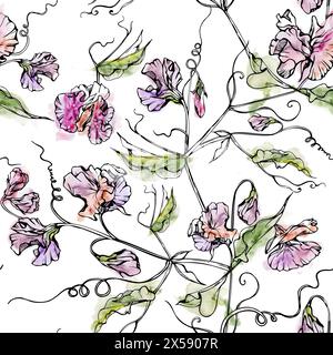 Handgezeichnete Aquarelltinte Illustration botanische Blumen Blätter. Süße, immerwährende Erbsen, Wicken-Bindweed-Leguminosen-Ranken. Nahtloses Muster isoliert Stockfoto