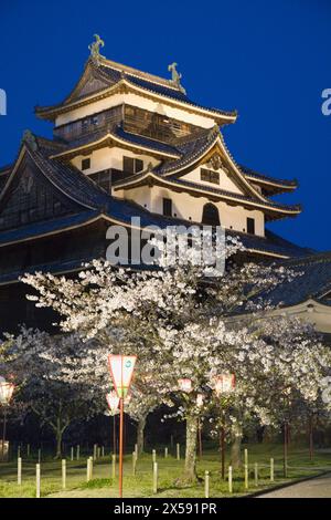 Japan, Matsue, Matsue-Jo, Schloss, Kirschblüten, Stockfoto