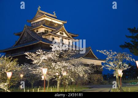 Japan, Matsue, Matsue-Jo, Schloss, Kirschblüten, Stockfoto