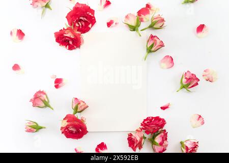 Rahmen aus Rosen auf weißem Hintergrund. Leere Karte mit roten Rosen flach gelegt Stockfoto