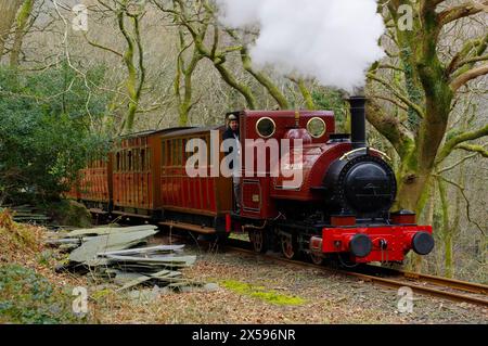 Schmalspur, Dampflokomotive, Nr. 1, Tal y Llyn, Stockfoto