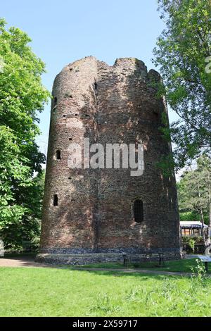 Cow Tower, Norwich, Norfolk, England, Großbritannien Stockfoto