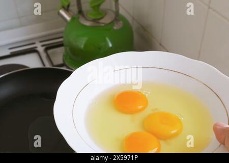 Leute halten einen Teller mit frischen rohen Eiern bereit zum Kochen Stockfoto