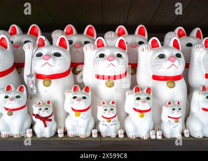 Maneki-neko-Statuen „verlockende Katze“ am berühmten Katzenschrein, Gotokuji-Tempel in Tokio, Japan Stockfoto