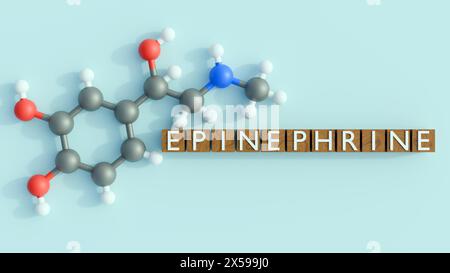 3D-Darstellung von Epinephrin oder Adrenalinmolekül und Epinephrin an den Wortblöcken Stockfoto