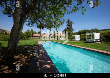 Lifestyle am Swimmingpool im La Casona Hotel, Matetic Vineyards, Chile. Stockfoto