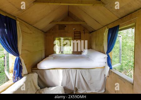 Ein hölzernes Baumhaus in den alten Wäldern von Kent, das als Glamping-Unterkunft auf Airbnb by Wyld Experiences verfügbar ist Stockfoto