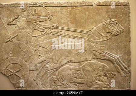 Stone Panel vom Palast von Ashurnasirpal II, Nimrud Palast Reliefs, das British Museum, London. England. VEREINIGTES KÖNIGREICH. Stockfoto