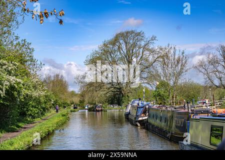 Rugby, Warwickshire, England – Ein Schmalboot, das entlang des Oxford Canal unter einem sommerblauen Himmel vertäut Stockfoto