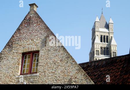 St.-Saviour´s-Dom. Brugge. Flandern, Belgien Stockfoto