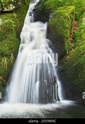 Stock Ghyll Force Wasserfall, nahe Ambleside, Cumbria, England. Stock Ghyll, ein Nebenfluss des Flusses Rothay, führt durch eine Reihe von Wasserfällen zu Stockfoto