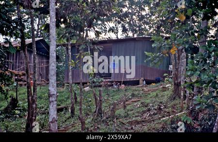 Traditionelle Häuser der indigenen Huaorani im Amazonasbecken in Ecuador. Stockfoto