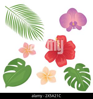 Tropische exotische Blätter und Blumen Set. Dschungelpflanzen. Monstera und Palmblätter. Orchideen-, Hibiskus- und Plumeria-Blüten. Cartoon-Vektor Stock Vektor
