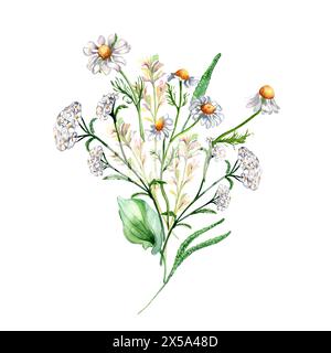 Ein Haufen von Wiese Heilblume, Kräuterpflanzen Aquarellillustration isoliert auf weißem Hintergrund. Kamille, Kochbanane, achillea Schafgarbe im Botanischen Stockfoto